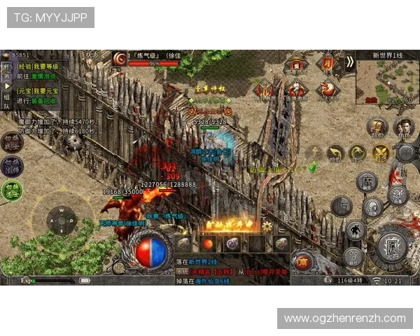 百家乐龙虎斗玩法的历史背景与发展趋势,探索经典游戏的魅力